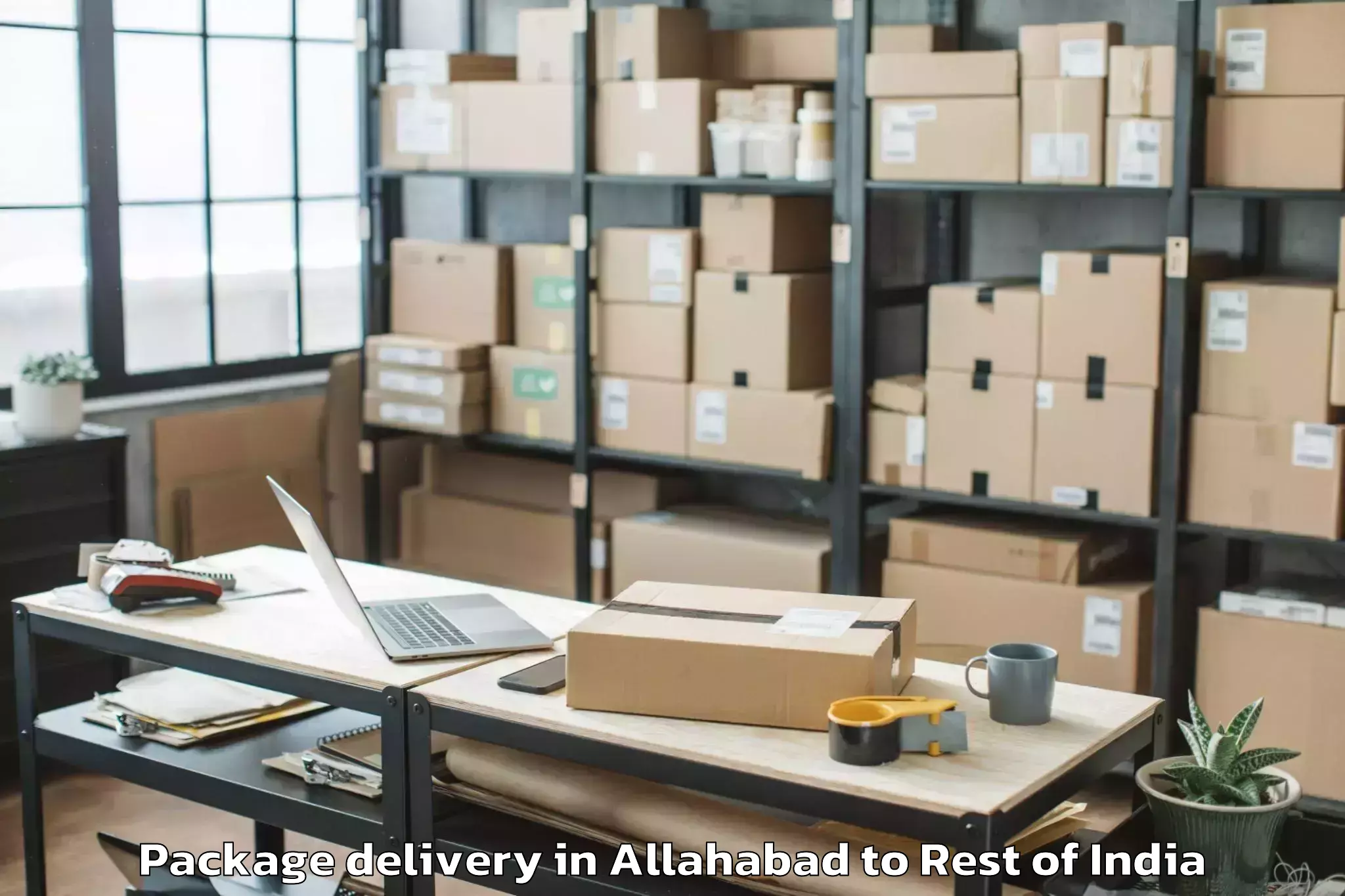 Professional Allahabad to Darhal Package Delivery